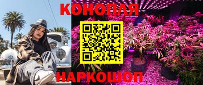 круглые Пугачёв