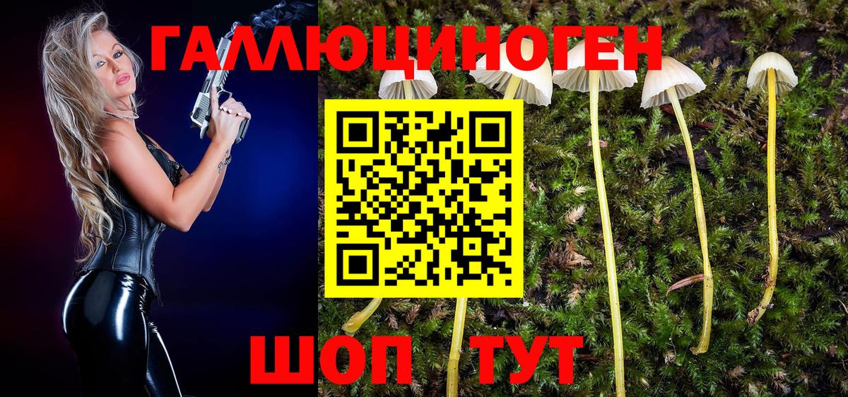 Псилоцибиновые грибы GOLDEN TEACHER Скопин